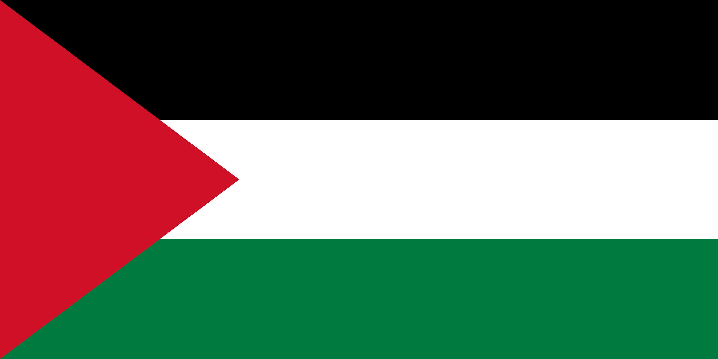 Flag of Palestine decal