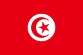 Flag of Tunisia decal