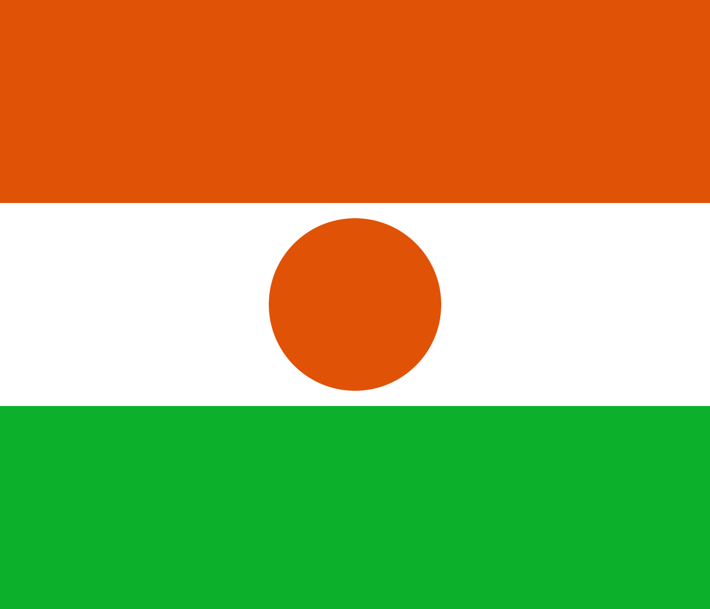 Flag of Niger decal
