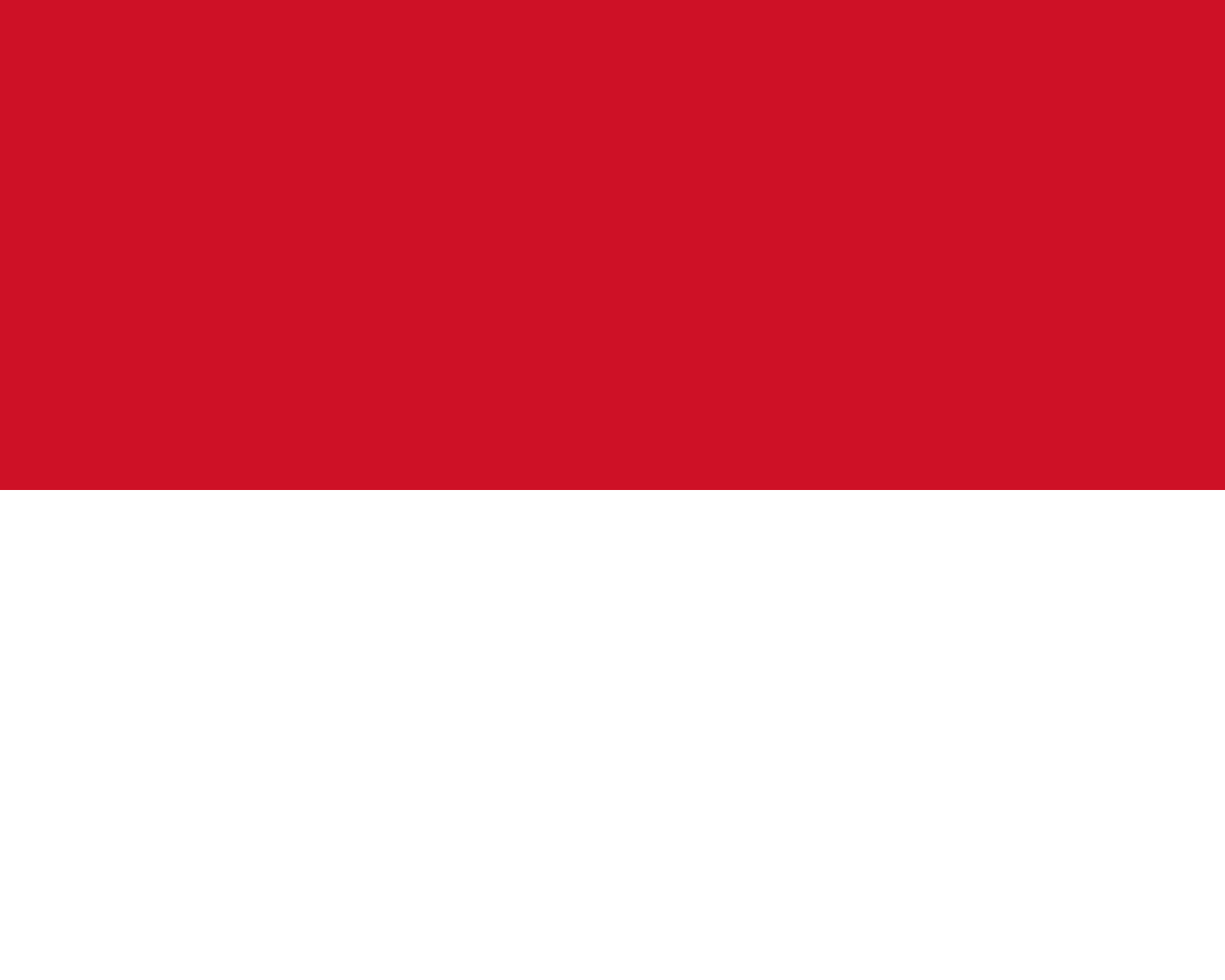 Flag of Indonesia decal