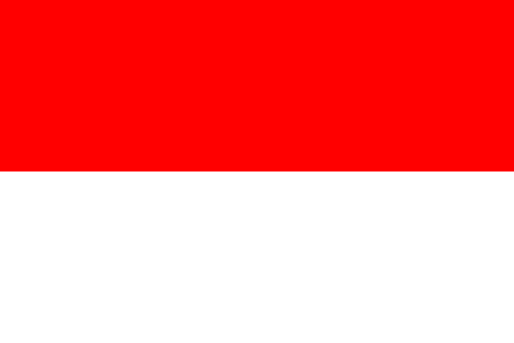 Flag of Indonesia decal