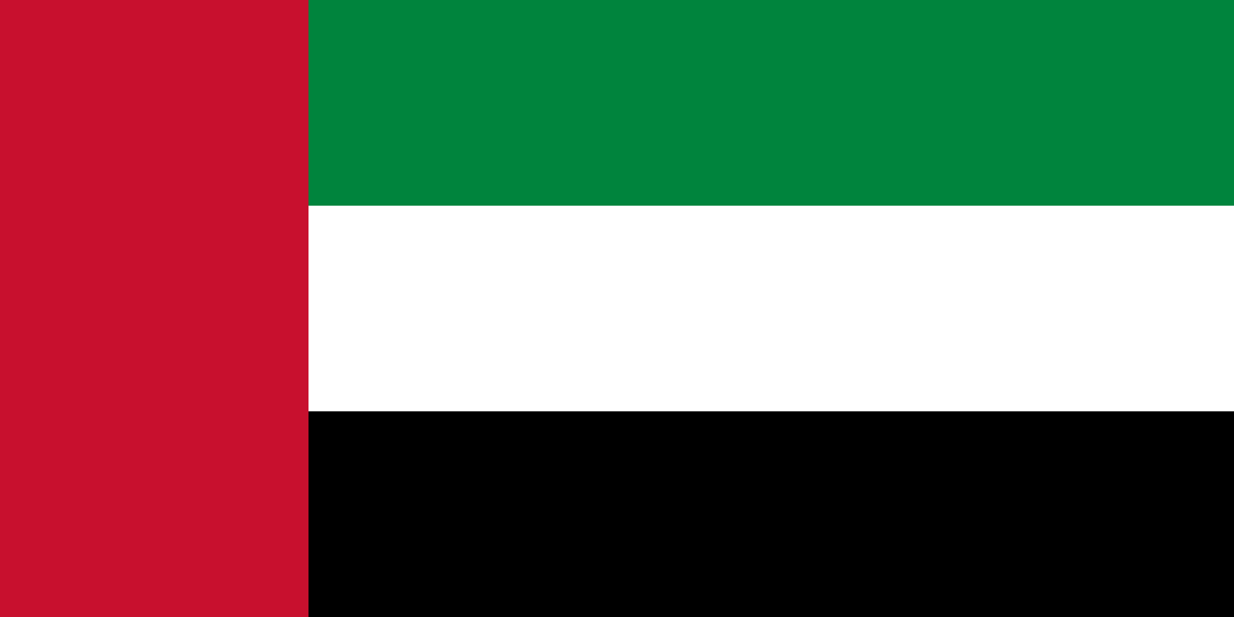 Flag of United Arab Emirates decal