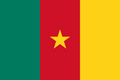 Flag of Cameroon decal