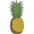 The Pine, Not Apple.
