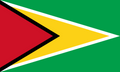 Flag of Guyana decal