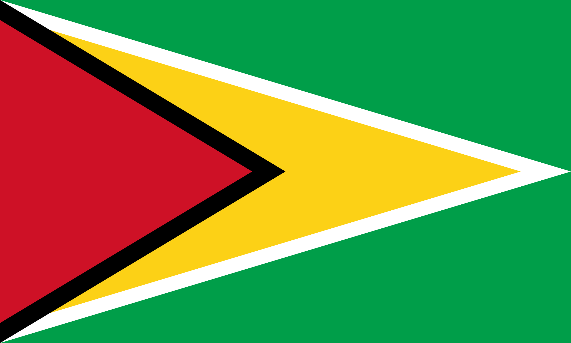 Flag of Guyana decal
